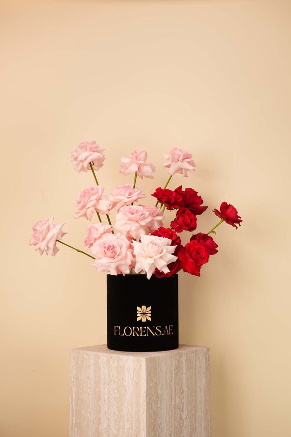 Blush & Scarlet Rose Box