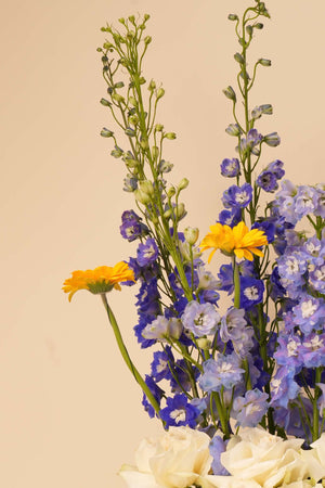 Blue Meadow Elegance Box