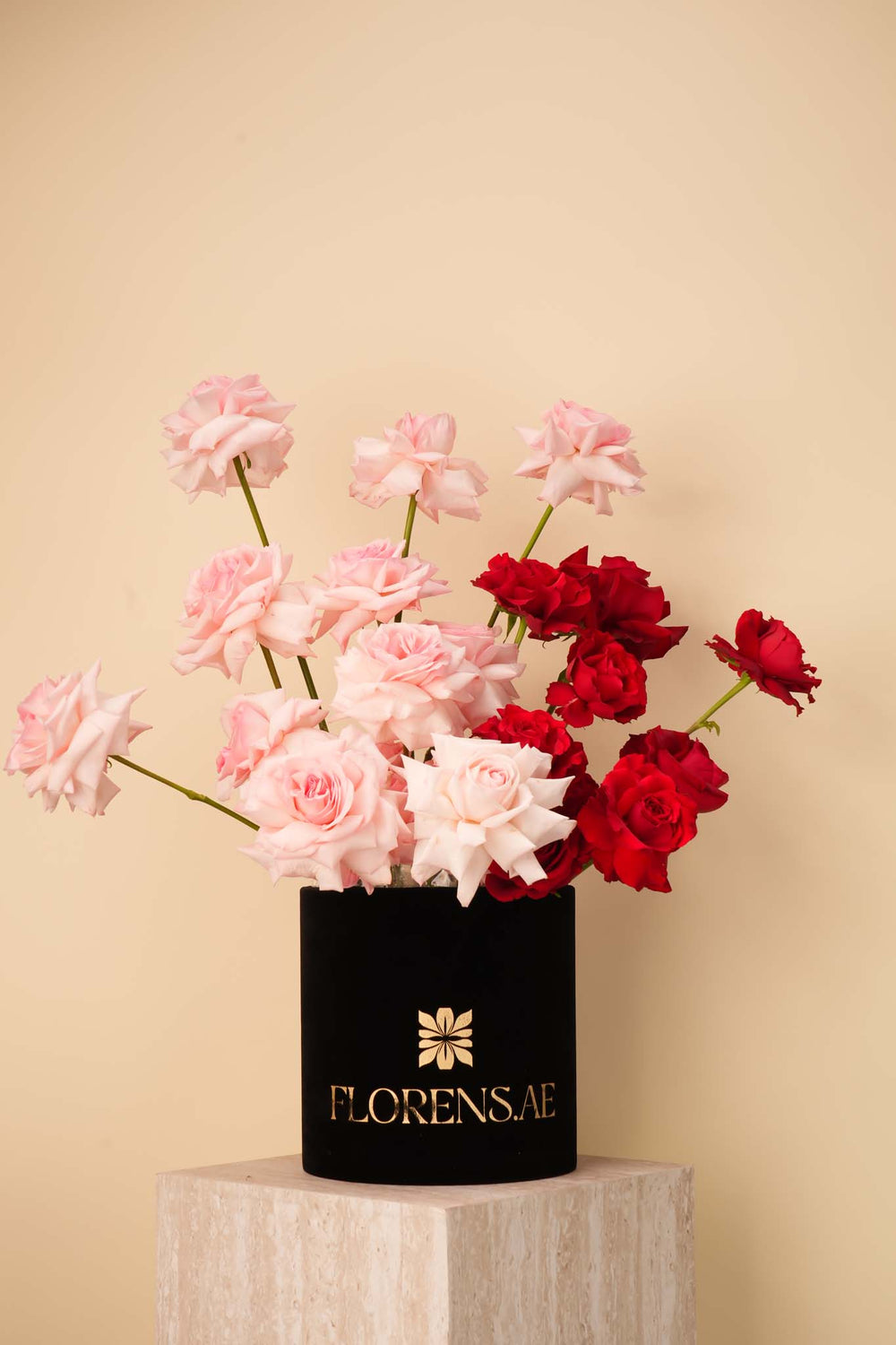 Blush & Scarlet Rose Box