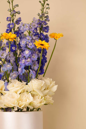 Blue Meadow Elegance Box