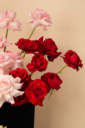 Blush & Scarlet Rose Box